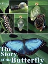 The Story of the Butterfly